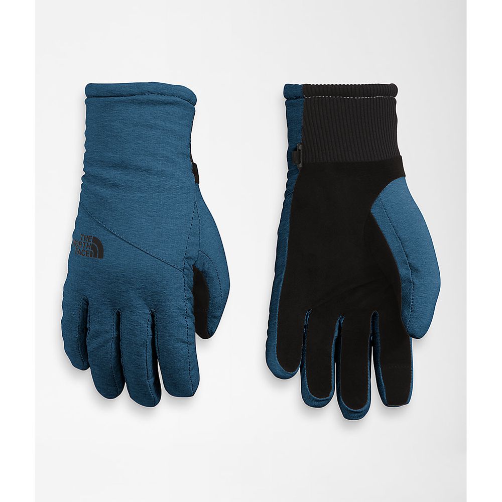 The North Face Gloves Womens Australia - The North Face Shelbe Raschel Etip™ Blue (GUO-264791)